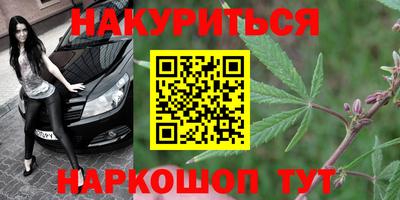 прущие грибы Краснознаменск