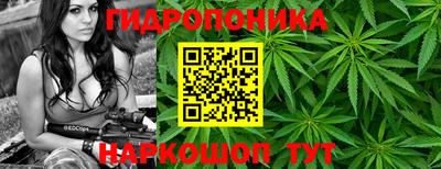 стаф Краснокаменск