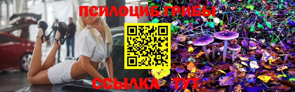 Псилоцибиновые грибы Psilocybine cubensis  Псилоцибиновые грибы MAGIC MUSHROOMS  Елизово  Вход с VPN 